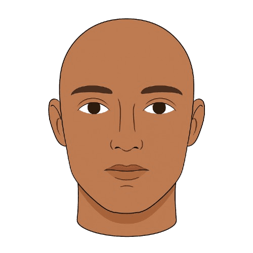 Cabeza frontal